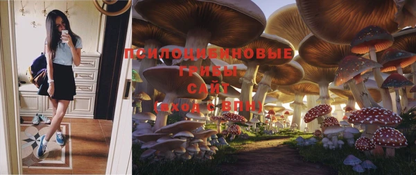 альфа пвп Новозыбков