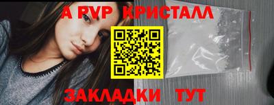 амф Донской