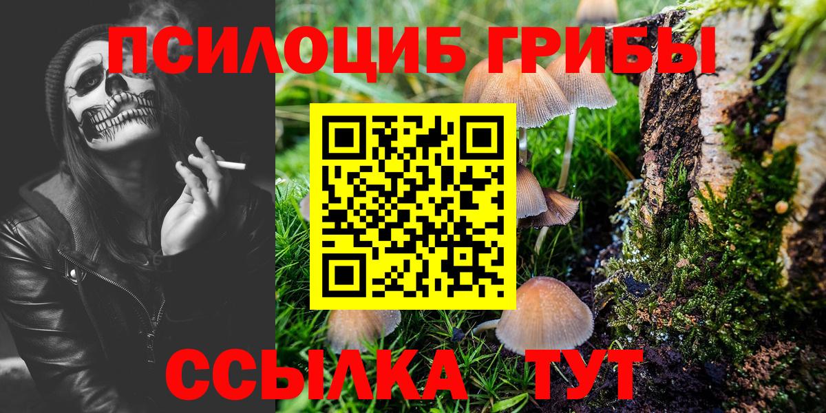 Коммунар  Галлюциногенные грибы Psilocybe  наркошоп  Вход с VPN 