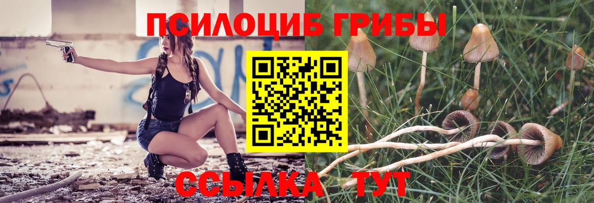 Галлюциногенные грибы прущие грибы Коммунар